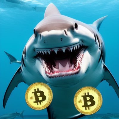 Bitcoin_Sharks Profile Picture