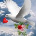 peri kızı❤️fan account (@edser94503808) Twitter profile photo peri kızı❤️fan account (@edser94503808) Twitter profile photo