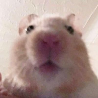 skdy_12345's profile picture. 