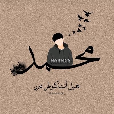 BbGh11898261's profile picture. 