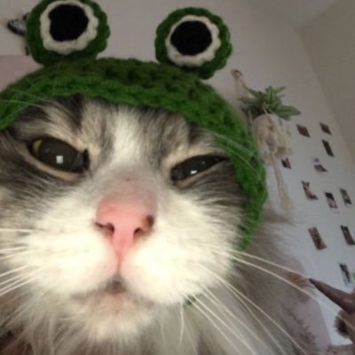 h0bibabes's profile picture. Lai Guan Lin's Louise Partridge's Kim Seon Ho's Lee Do Hyun's ENHYPEN's Sarawat x Tine / Bright x Win / Kyo Sohma x Tohru Honda / Kulet’s 03|07|22 / REPLY 1988