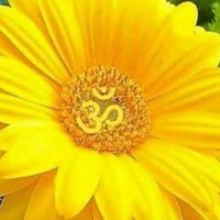 Dr satyabhanu shastri (@satyabhanushas3) 's Twitter Profile