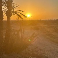 Braven Vanithas (@bvanithas) 's Twitter Profile