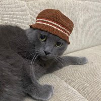 Semih Baba (@5semihbaba) 's Twitter Profile