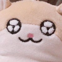 はむこ (@mr1003__) Twitter profile photo