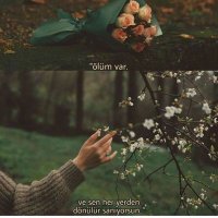 OSehirdekikız (@osehirdeki) Twitter profile photo