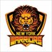 New York Warriors (@nywarriorst10) Twitter profile photo
