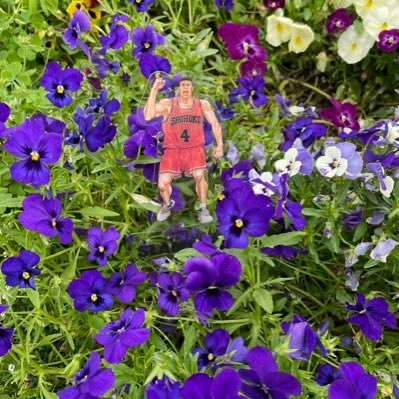 kimi07779114's profile picture. 備忘録です