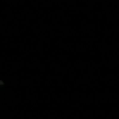 Tomi33332839530's profile picture. 