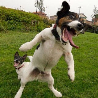 oceantek's profile picture. 항상 마음도 청춘~~~