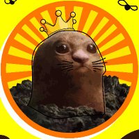 POOPCOIN (@poopcoin_king) 's Twitter Profile Photo