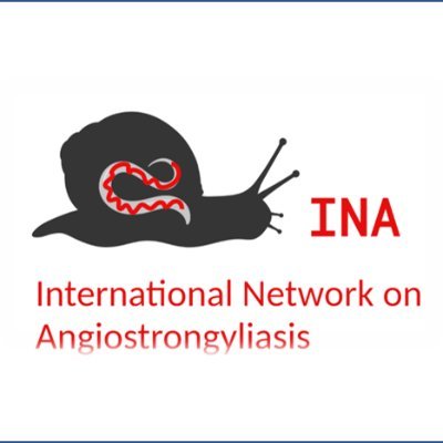 inangio2023's profile picture. Managed by #PilarForonda and @C_Paredes_E