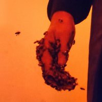 felipe barraza (@felipebarraza) 's Twitter Profile