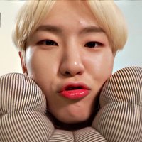 🐯🍑🍓🫧 (@hoshifieddd) 's Twitter Profile