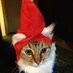Gnomeposting (@gnomeposts) Twitter profile photo Gnomeposting (@gnomeposts) Twitter profile photo