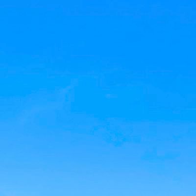 Y5xZl's profile picture. だいじょうぶだいじょうぶまいっか