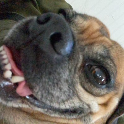 bryceal21's profile picture. 