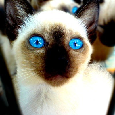 yamakami2023's profile picture. 