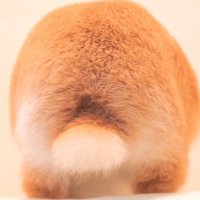 伊織 (@iori_pkms) 's Twitter Profile