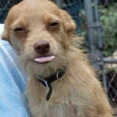 Aranih3's profile picture. na tukivibe tusiwaste time 🖐