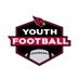 Arizona Cardinals Youth Football (@azcardsyouthfb) Twitter profile photo