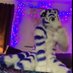 Kellight (@kellight1) Twitter profile photo Kellight (@kellight1) Twitter profile photo