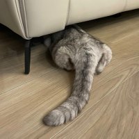 パルコ (@paruko657017780) 's Twitter Profile