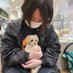 ナマステの中身a.k.aおくりびと(たじょん人ナマステカレーであり、ナマステェ👳🙏)やまかわ🍛 (@j2q5lheep82smc3) Twitter profile photo ナマステの中身a.k.aおくりびと(たじょん人ナマステカレーであり、ナマステェ👳🙏)やまかわ🍛 (@j2q5lheep82smc3) Twitter profile photo