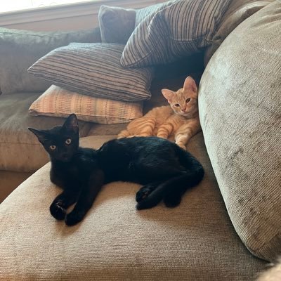 paulsvangundy's profile picture. Happy to just be here.