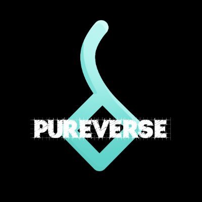 PureverseLife Profile Picture