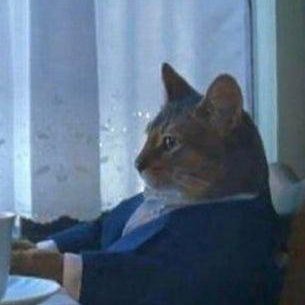 VitorTelmo's profile picture. Crypto Newbie