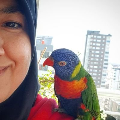 rhmsdemir's profile picture. 