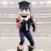 Pat Patriot (@PatPatriot) Twitter profile photo