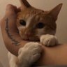 isValidUserId's profile picture. 주니어 백엔드 / 인장은 별거 없구요,. 울집 귀여운 고양이입니다. / 품질과 개발을 엮어 먹습니다.