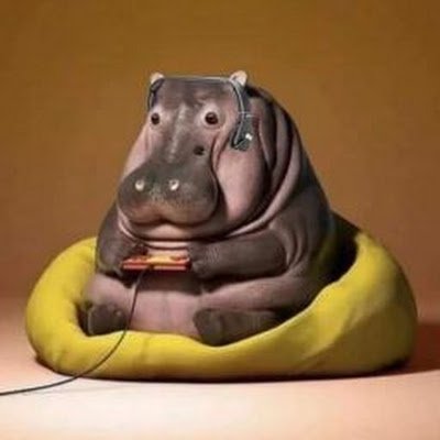 Alex_riizo's profile picture.