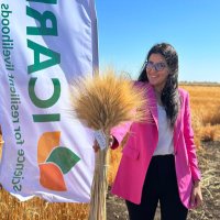 Bousselham Houda (@bousselhamhouda) 's Twitter Profile