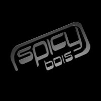 Spicy Bois (@spicyboismusic) Twitter profile photo