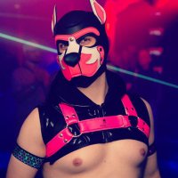 πΎ Pup Xylon πΎ π (@pupxylon) 's Twitter Profile