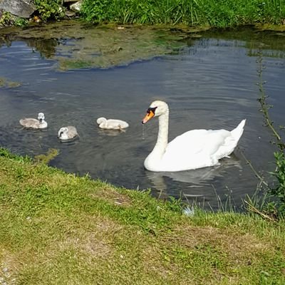 cllauretta6198's profile picture. 