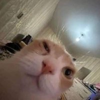 55neoo (@fftyneo) 's Twitter Profile