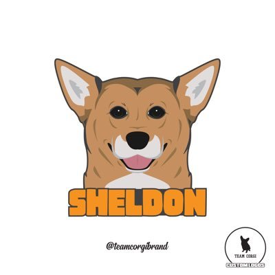 I’m Sheldon, a Pembroke Corgi. My family adopted me from a Rescue shelter and am now in a loving forever home. I am very intelligent, quirky and playfully.