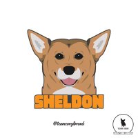 Sheldon the Corgi(@CorgiSheldon) 's Twitter Profileg