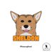 Sheldon the Corgi (@CorgiSheldon) Twitter profile photo