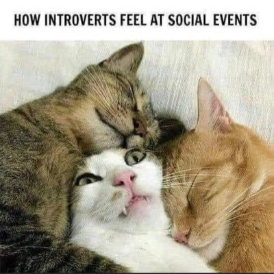 Stotezy's profile picture. 