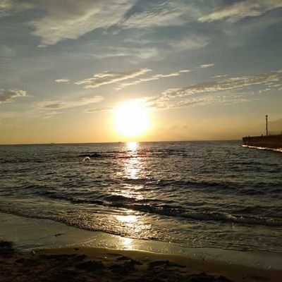 dolphinth1028's profile picture. 