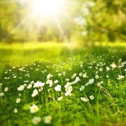 tsudhans's profile picture. 