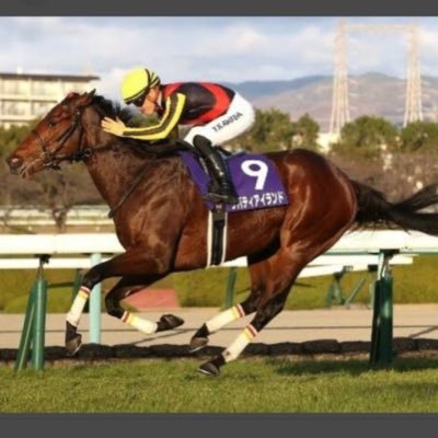 人気馬を切る予想に特化！/2023年18頭中12頭馬券外！/推奨馬、平均3番人気 /一読宜しくお願いします！/2024年5頭中3頭馬券外