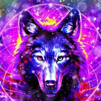 Wolf 🐺(@WorldByWolf) 's Twitter Profileg