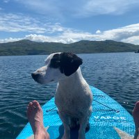 Laura Allison (@lallison2002) 's Twitter Profile