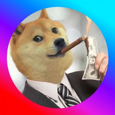 dogeinsuit Profile Picture